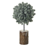 Green tree with bark base